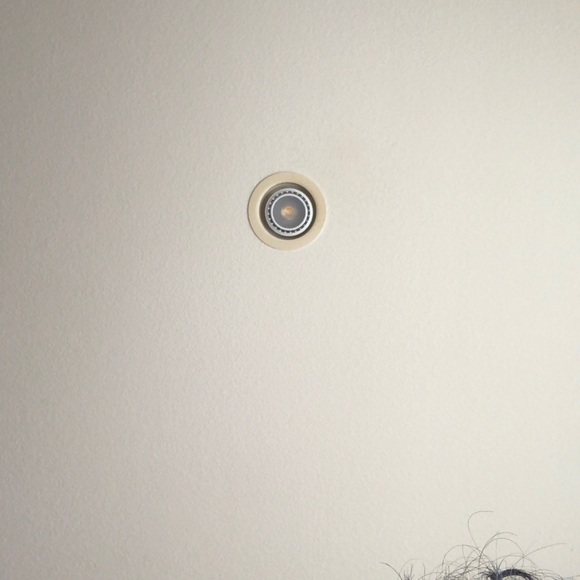 Meet your Posher, Jonah - Picture 1 of 1